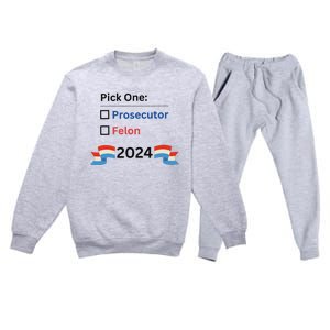 Pick One 2024 Funny Election Premium Crewneck Sweatsuit Set