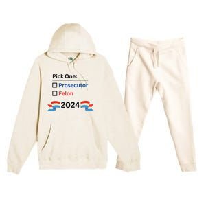 Pick One 2024 Funny Election Premium Hooded Sweatsuit Set