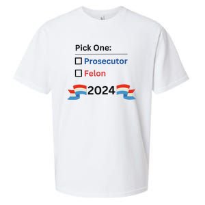 Pick One 2024 Funny Election Sueded Cloud Jersey T-Shirt