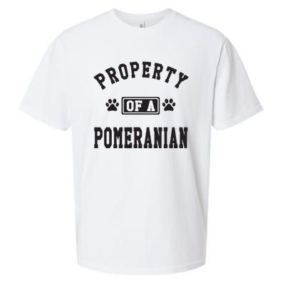 Property Of A Pomeranian Pomeranian Lover Sueded Cloud Jersey T-Shirt