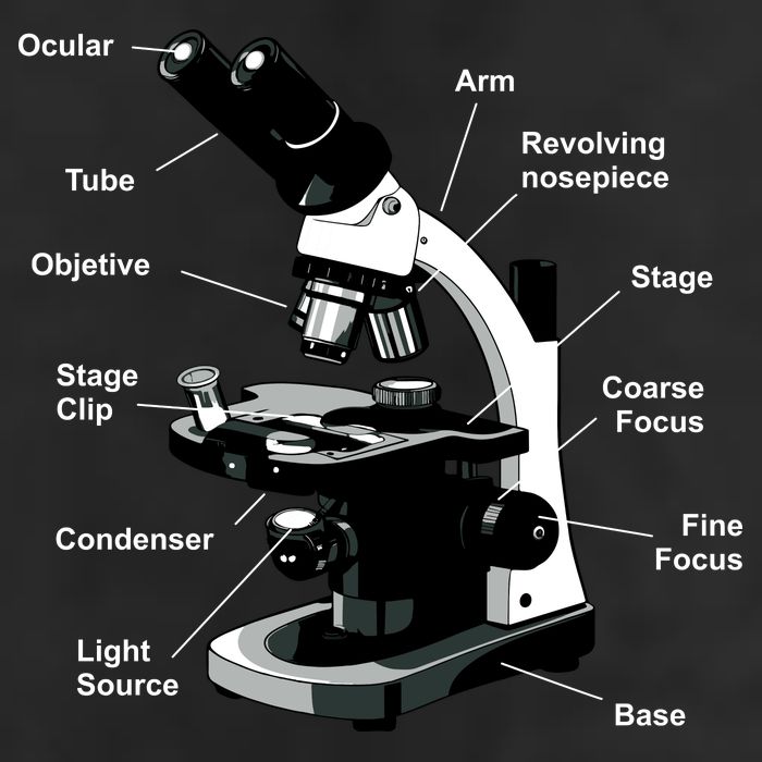 Parts Of A Microscope Cool Comfort Performance Bucket Hat