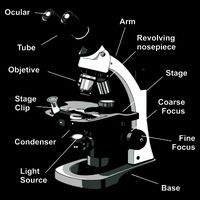 Parts Of A Microscope Flexfit Unipanel Trucker Cap