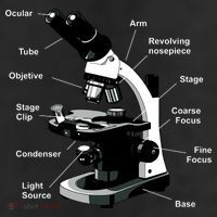 Parts Of A Microscope 11oz C Handle Ceramic Mug