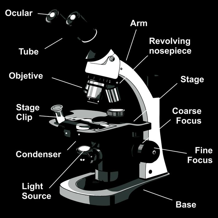Parts Of A Microscope Flatbill Hat