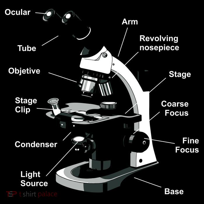 Parts Of A Microscope Tank Top