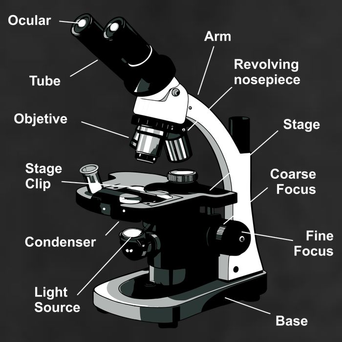 Parts Of A Microscope Golf Towel