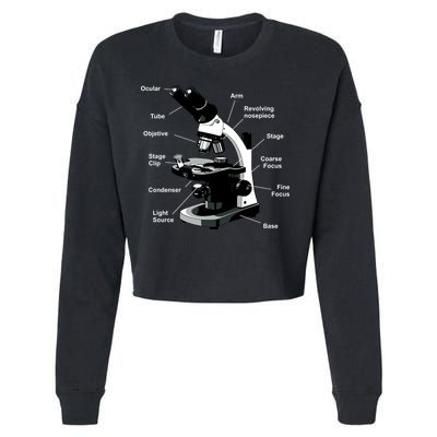 Parts Of A Microscope Cropped Pullover Crew