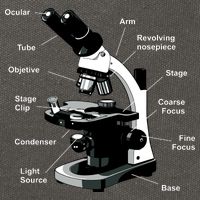 Parts Of A Microscope Cotton Canvas Backpack