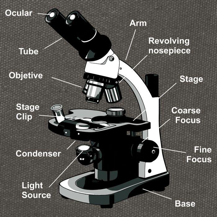 Parts Of A Microscope Cotton Canvas Backpack