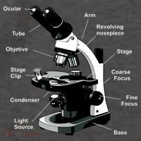Parts Of A Microscope Vector Backpack