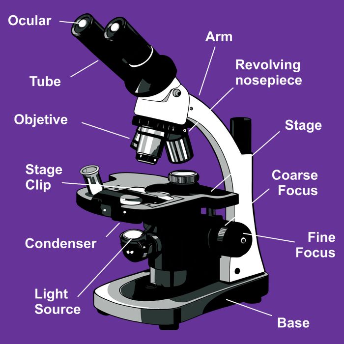 Parts Of A Microscope Toddler T-Shirt