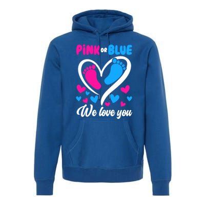 Pink Or Blue We Love You Gender Reveal Gift Premium Hoodie