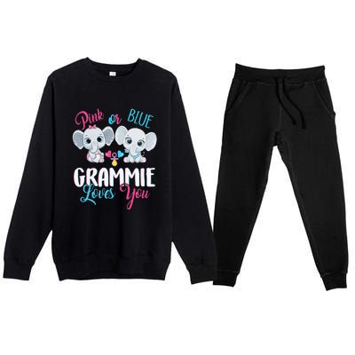 Pink Or Blue Grammie Loves You ElephantsBaby Gender Reveal Premium Crewneck Sweatsuit Set