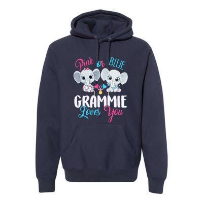 Pink Or Blue Grammie Loves You ElephantsBaby Gender Reveal Premium Hoodie