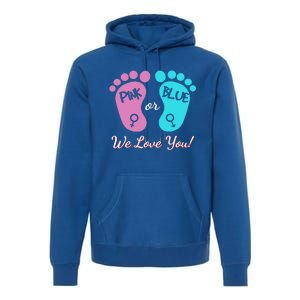 Pink Or Blue We Love You Gender Reveal Great Gift Premium Hoodie