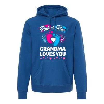 Pink Or Blue Grandma Loves You Gift Gender Reveal Cool Gift Premium Hoodie