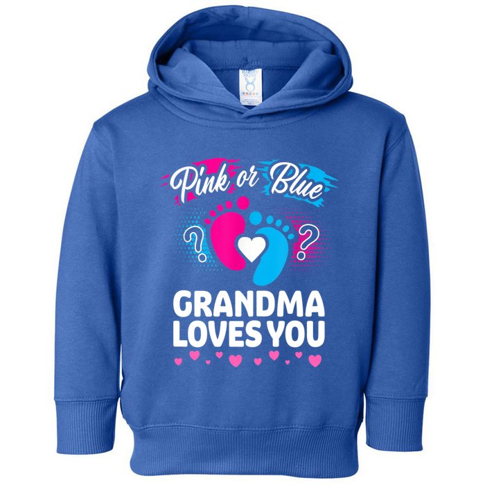 Pink Or Blue Grandma Loves You Gift Gender Reveal Cool Gift Toddler Hoodie