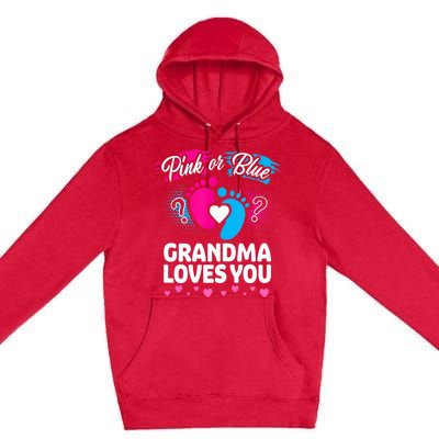 Pink Or Blue Grandma Loves You Gift Gender Reveal Cool Gift Premium Pullover Hoodie