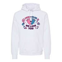 Pink Or Blue We Love You Pregnancy Reveal Premium Hoodie