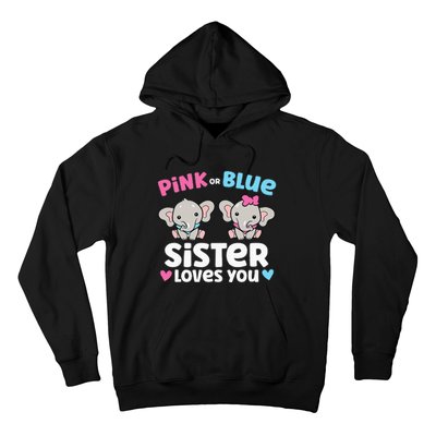 Pink Or Blue Sister Loves You Funny Gender Reveal Hoodie