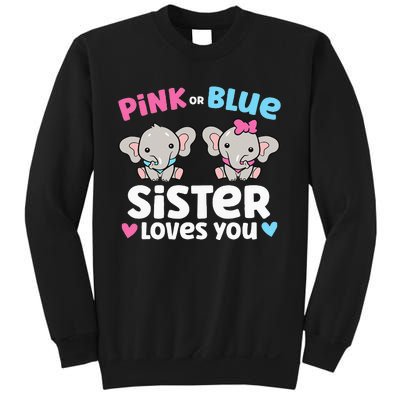 Pink Or Blue Sister Loves You Funny Gender Reveal Sweatshirt