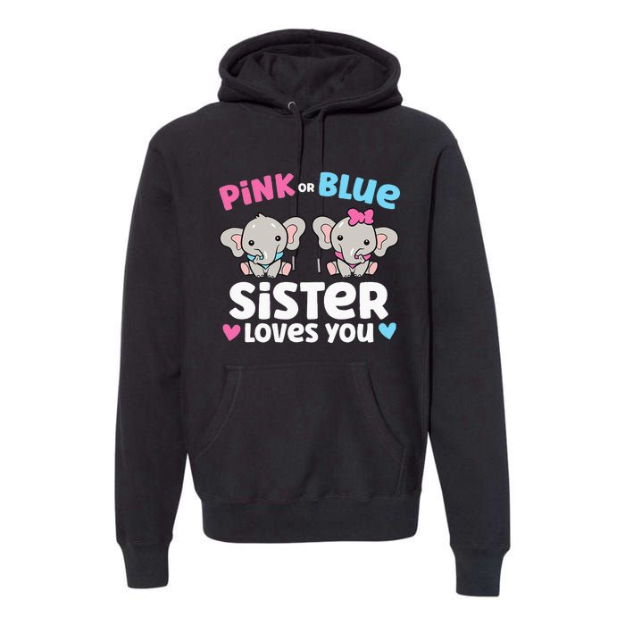 Pink Or Blue Sister Loves You Funny Gender Reveal Premium Hoodie