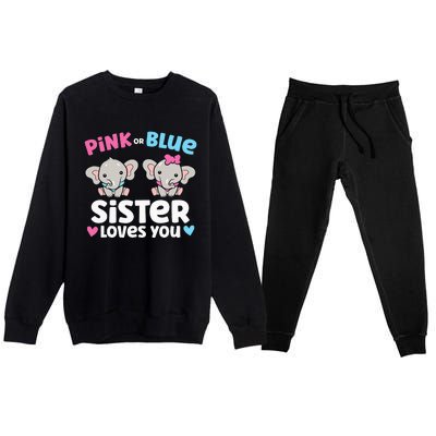 Pink Or Blue Sister Loves You Funny Gender Reveal Premium Crewneck Sweatsuit Set