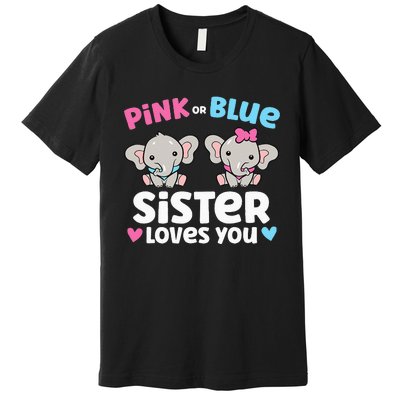 Pink Or Blue Sister Loves You Funny Gender Reveal Premium T-Shirt