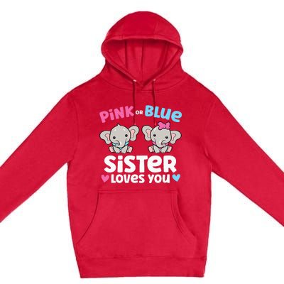 Pink Or Blue Sister Loves You Funny Gender Reveal Premium Pullover Hoodie