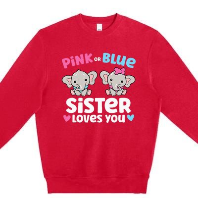 Pink Or Blue Sister Loves You Funny Gender Reveal Premium Crewneck Sweatshirt