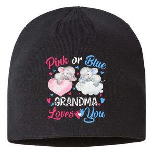 Pink Or Blue Grandma Loves You Elephants-baby Gender Reveal Sustainable Beanie