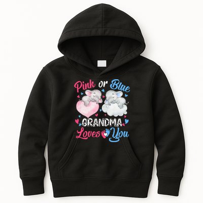 Pink Or Blue Grandma Loves You Elephants-baby Gender Reveal Kids Hoodie