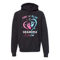 Pink Or Blue Grandma Loves You Gender Reveal Baby Gifts Mom Premium Hoodie