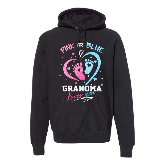 Pink Or Blue Grandma Loves You Gender Reveal Baby Gifts Mom Premium Hoodie