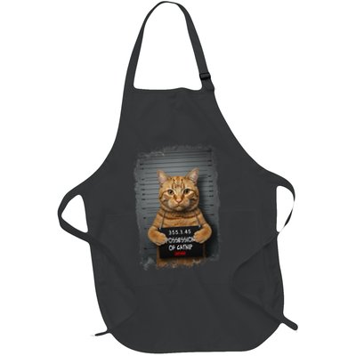 Possession of catnip ORANGE cat MUGSHOT AESTHETIC Full-Length Apron With Pockets