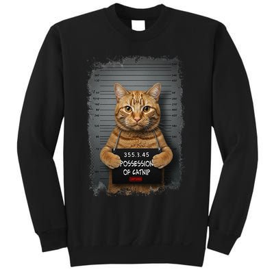 Possession of catnip ORANGE cat MUGSHOT AESTHETIC Sweatshirt