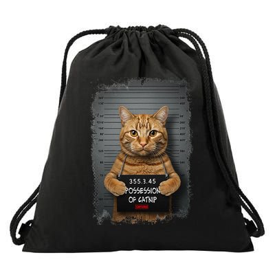 Possession of catnip ORANGE cat MUGSHOT AESTHETIC Drawstring Bag