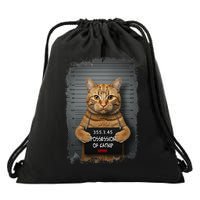 Possession of catnip ORANGE cat MUGSHOT AESTHETIC Drawstring Bag