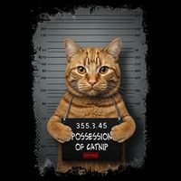 Possession of catnip ORANGE cat MUGSHOT AESTHETIC Drawstring Bag