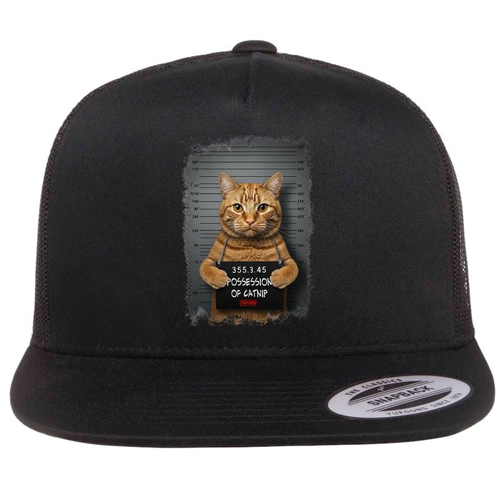 Possession of catnip ORANGE cat MUGSHOT AESTHETIC Flat Bill Trucker Hat