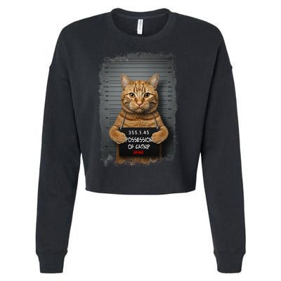 Possession of catnip ORANGE cat MUGSHOT AESTHETIC Cropped Pullover Crew