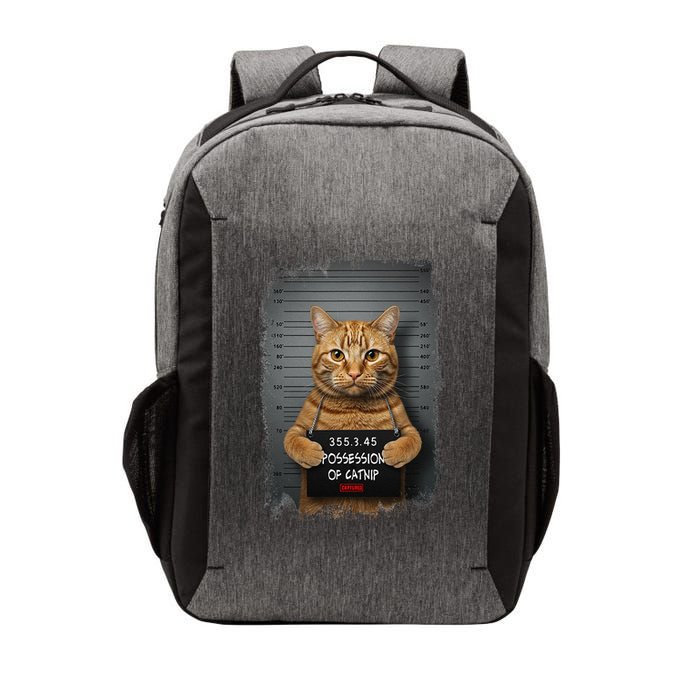 Possession of catnip ORANGE cat MUGSHOT AESTHETIC Vector Backpack