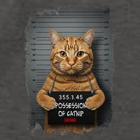 Possession of catnip ORANGE cat MUGSHOT AESTHETIC Vector Backpack