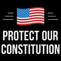 Protect Our Constitution Magnet