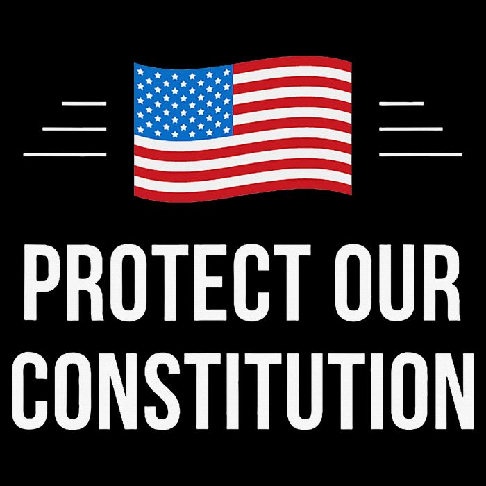 Protect Our Constitution Magnet