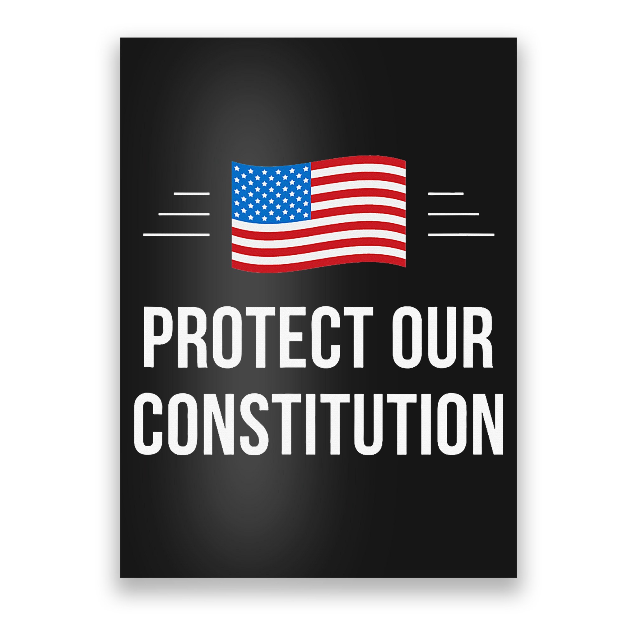 Protect Our Constitution Poster