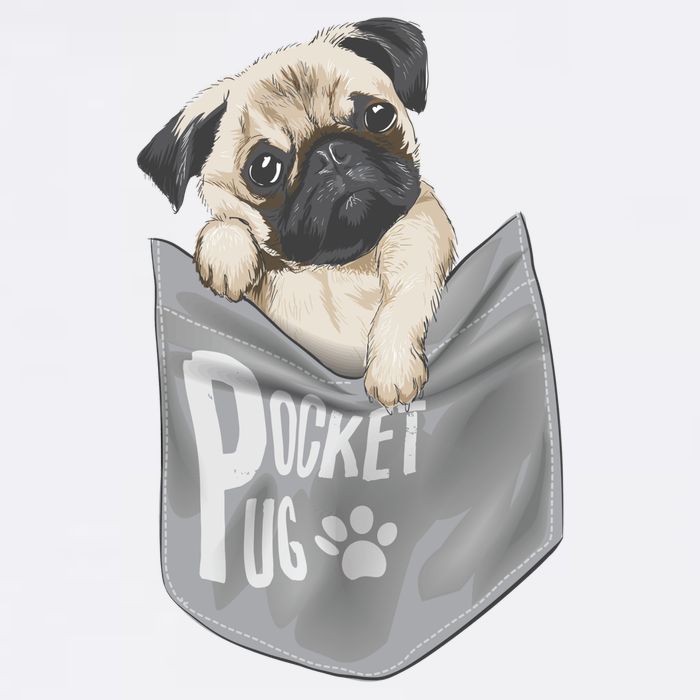 Pocket Pug Cute Adult Drive Performance Visor
