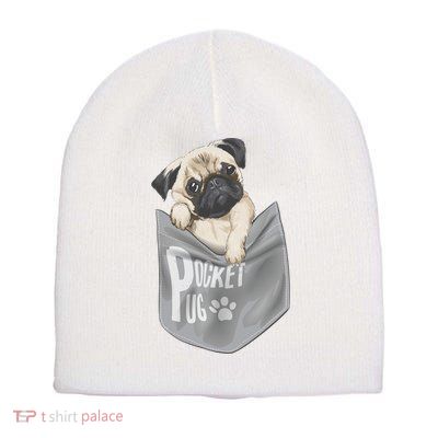 Pocket Pug Cute Short Acrylic Beanie