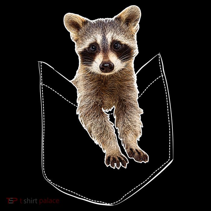 Pocket Raccoon Funny 16 in Basic Backpack