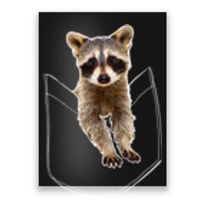 Pocket Raccoon Funny Poster